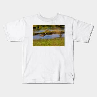 Curlew looking for food Kids T-Shirt